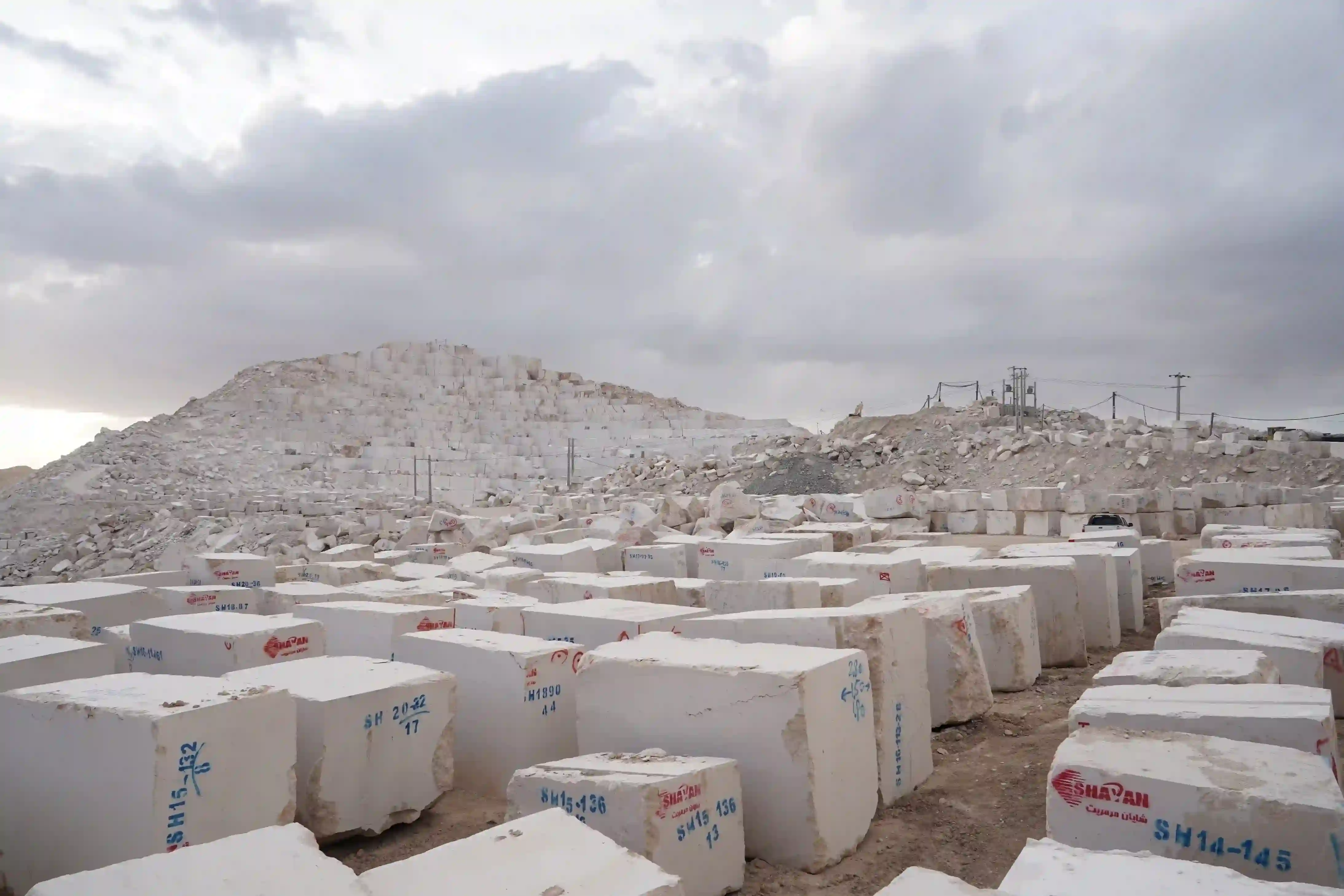 Shayan Cream Marble